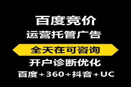 SEM运营中的数据分析和优化案例研究